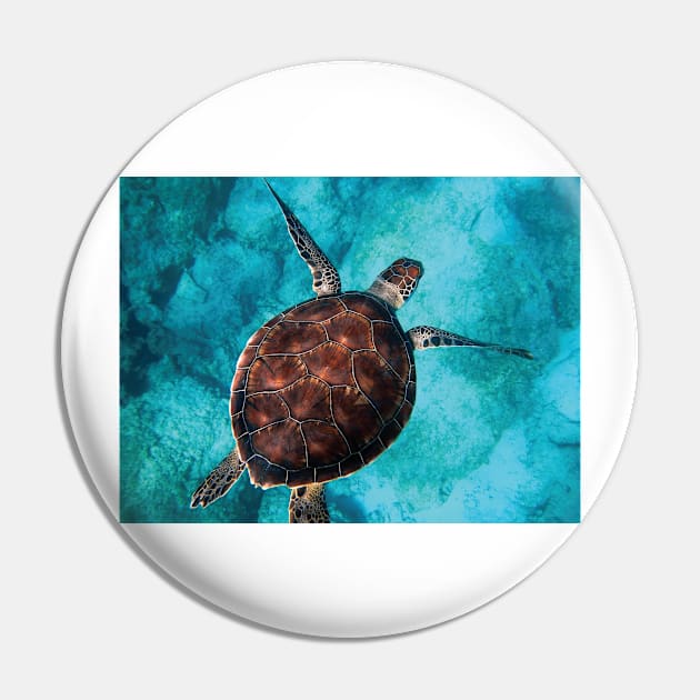 Blue ocean sea turtle - summer sea swimming turtle Pin by TeeAMS