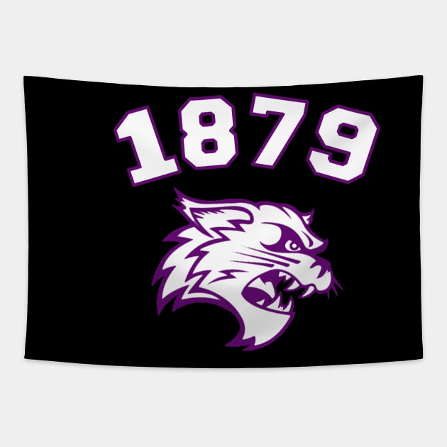 Wiley 1879 College Apparel Tapestry by HBCU Classic Apparel Co