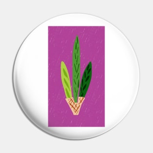 Lulav Magenta Print Pin