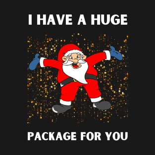 I Have A Huge Package For You Christmas T-Shirt