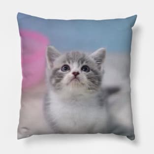 the little cute cats Pillow