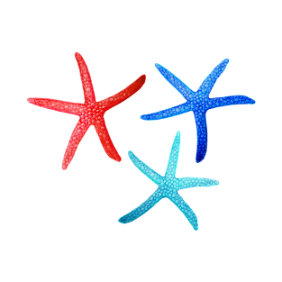 Starfish in Red, Aqua and Cobalt T-Shirt