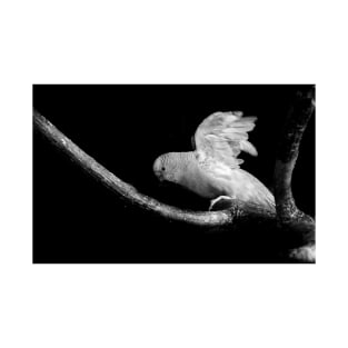 Flying Parakeet in Black and White T-Shirt