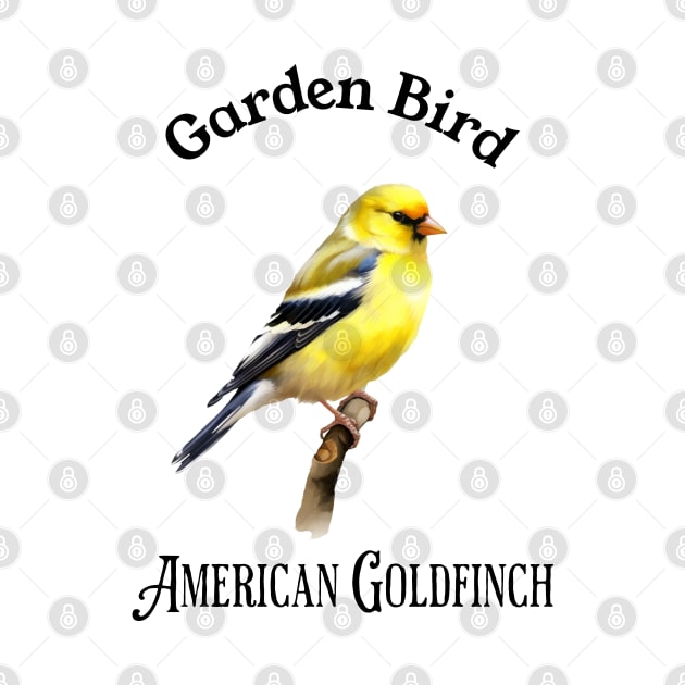 Garden Bird American Goldfinch by DavidBriotArt