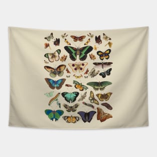 Moth cottagecore, fairycore and goblincore insect moon child Tapestry