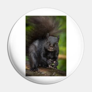 Eastern Grey Squirrel Pin