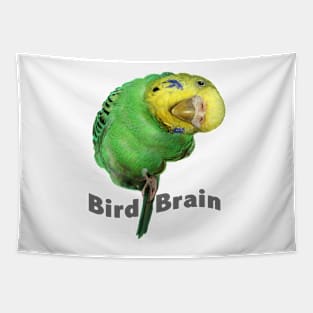 Bird Brain Tapestry