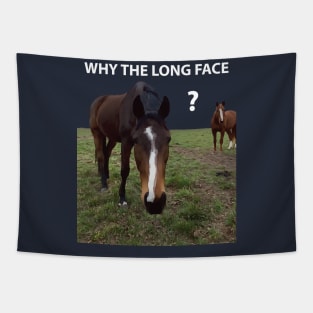 Why The Long Face? - Funny Horse Tapestry