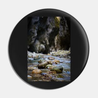 River in a canyon Pin