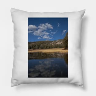 850_7900 Pillow