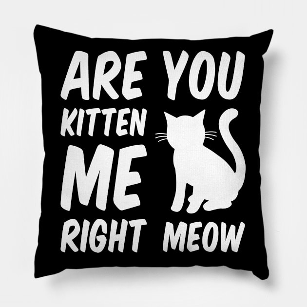 Are You Kitten Me Right Meow - White Cat Pillow by Everydayoutfit