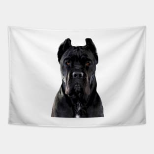 Cane Corso Dog Black Tapestry