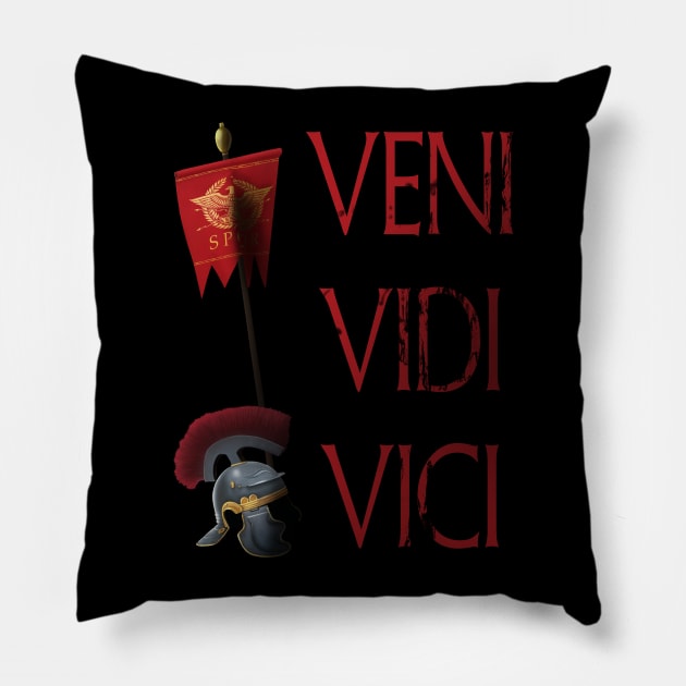 Veni Vidi Vici Pillow by Styr Designs