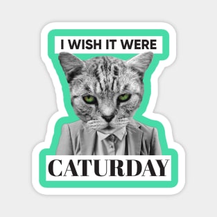 I Wish It Were Caturday Magnet