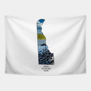 Delaware USA Tapestry