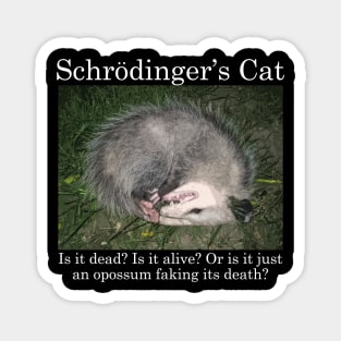 Schrodinger's Cat / Opossum Magnet