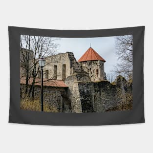 Ruins of medieval castle in Cesis, Latvia Tapestry