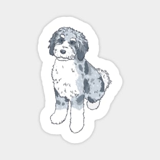 Blue Merle Aussiedoodle Magnet