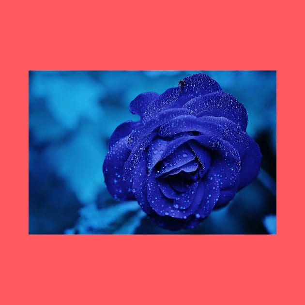 Blue rose by Rivas Teepub Store