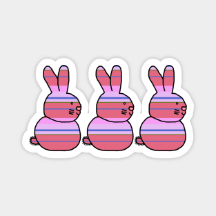 Three Easter Bunny Rabbits Hot Pink Bouquet Stripes Magnet