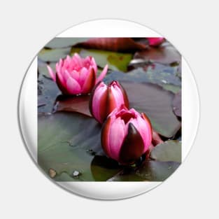 Water Lilies Pin