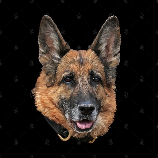 German shepherd by sibosssr