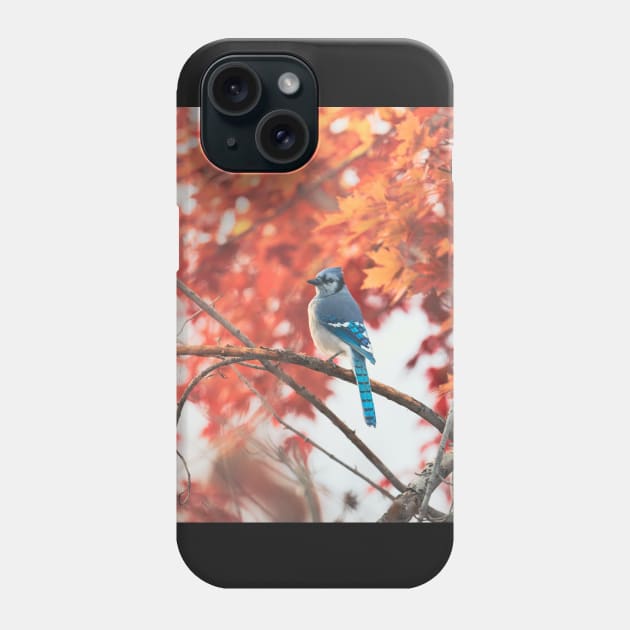 Autumnal Maple with Blue Jay Phone Case by ElevatedCT