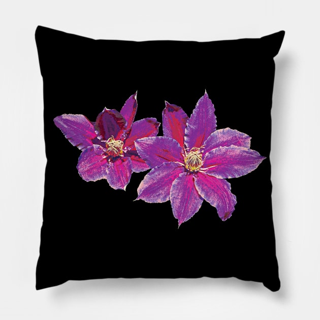 Clematis - Purple Clematis Pillow by SusanSavad