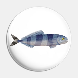 Pilote-Fish Pin