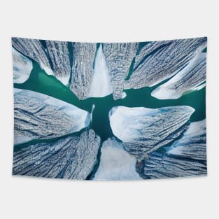 Aerial top view of frozen lake among snow winter landscape Tapestry