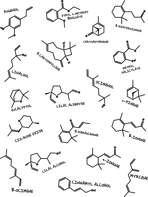 The Chemistry of Flower Aromas Kids T-Shirt by Polyart