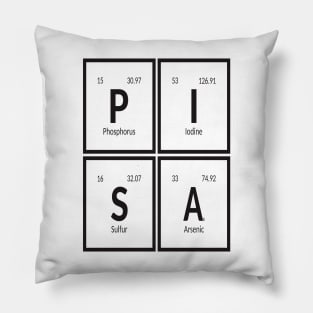 Pisa City Pillow