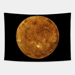 Venus Tapestry