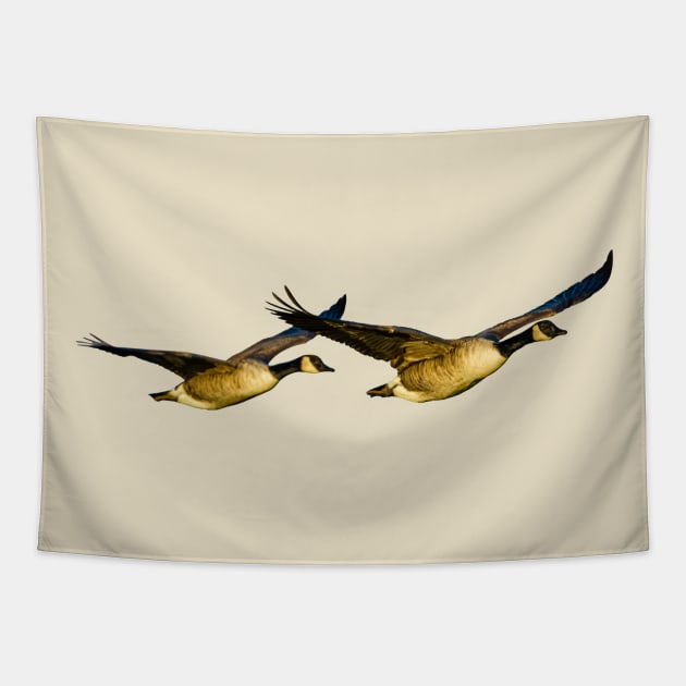 Incoming Canada Geese Tapestry by dalyndigaital2@gmail.com