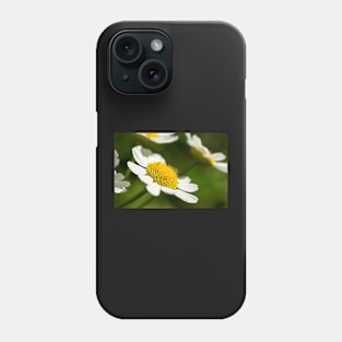 Daisy Greeting Card Phone Case