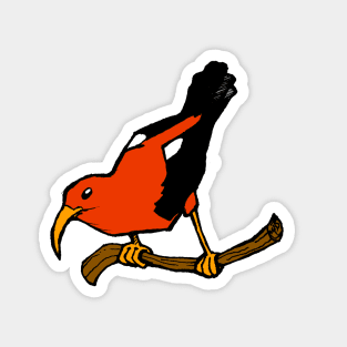 Hawaiian I'iwi bird Magnet