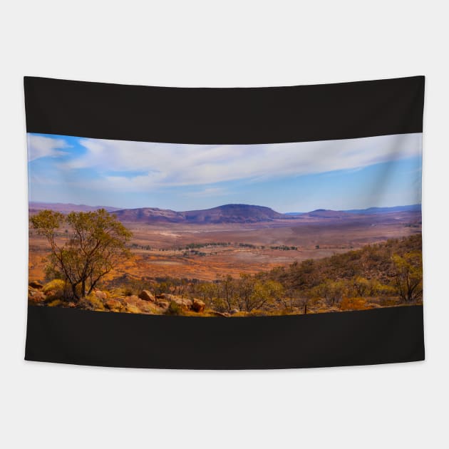 Flinders Ranges Panorama_9389A-PANO Tapestry by seadogprints