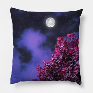 A Beautiful Full Moon Night Pillow