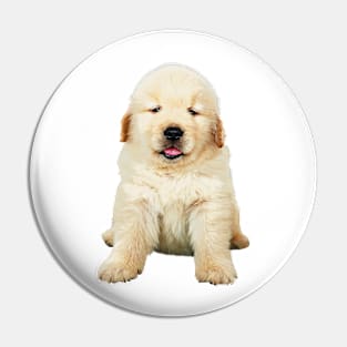 Precious Golden Retriever Puppy Pin