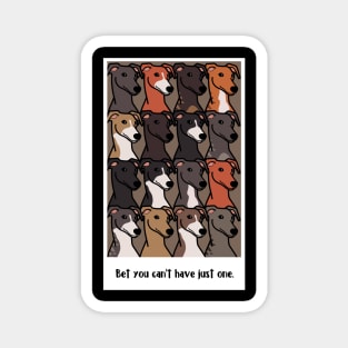 Greyhounds colors Magnet