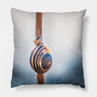 Hang Tight! Snail Shell Photograph Pillow