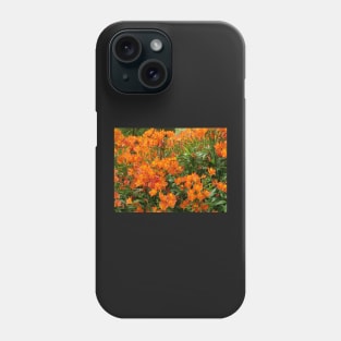 Peruvian lily in Savill Garden Phone Case