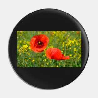 Wild Red Poppies Pin