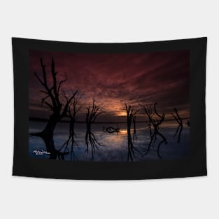 Lake Bonney Tapestry