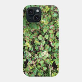 Blackberries Phone Case