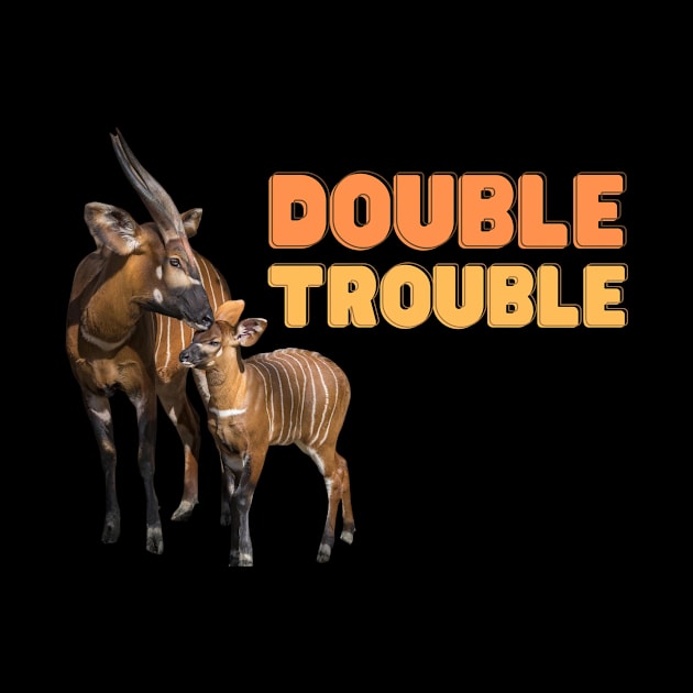 Double Trouble by Finn Dixon