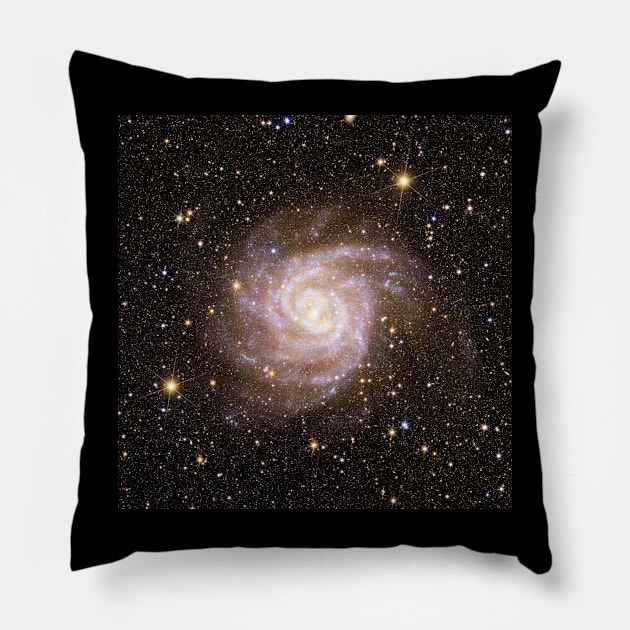 Euclid IC 342 Spiral Galaxy Pillow by RockettGraph1cs