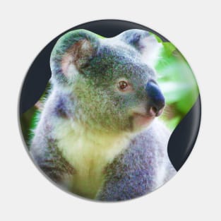 Koala climbing a tree Pin