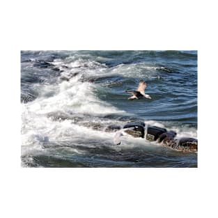 Seagulls flying over the waves, Seahouses, Northumberland, UK T-Shirt