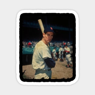 Ted Williams - Marines (World War II and Korean War) Magnet